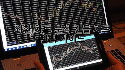 외환 차트 분석: 캔들 차트 완벽 가이드