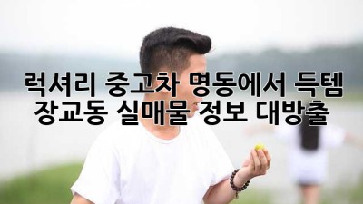 럭셔리 중고차, 명동에서 득템?! 💎 장교동 실매물 정보 대방출!